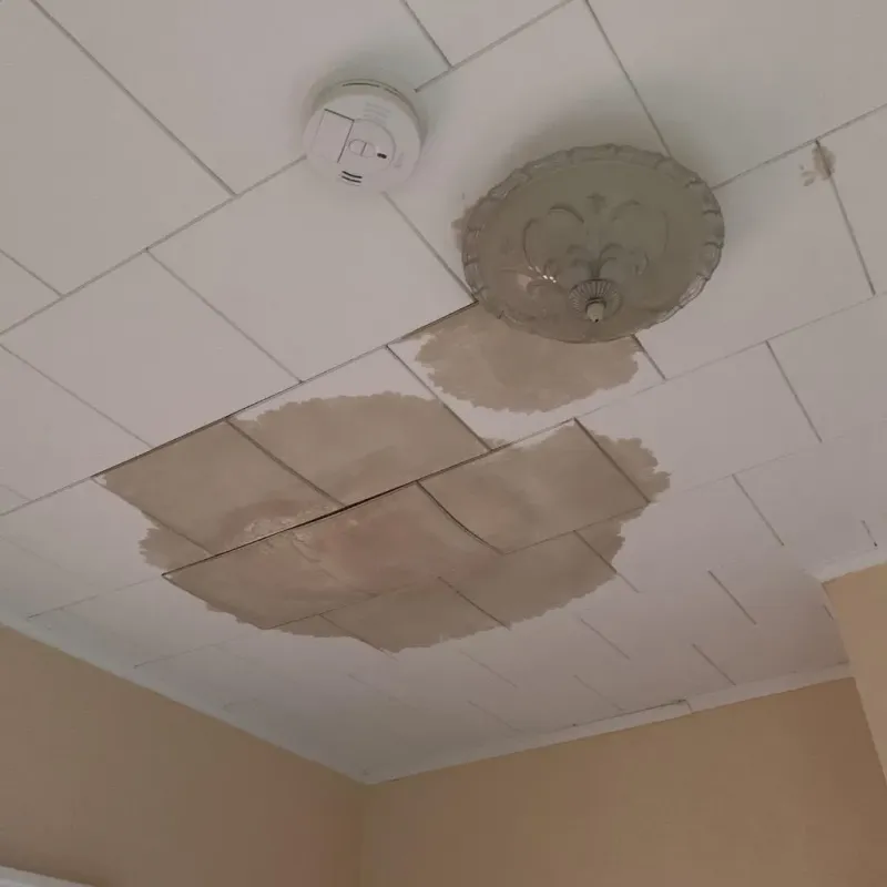 Ceiling Water Damage Repair in Hall County, NE