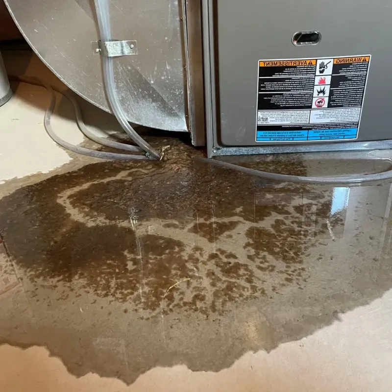 Pipe Burst and Leak Restoration in Hall County, NE
