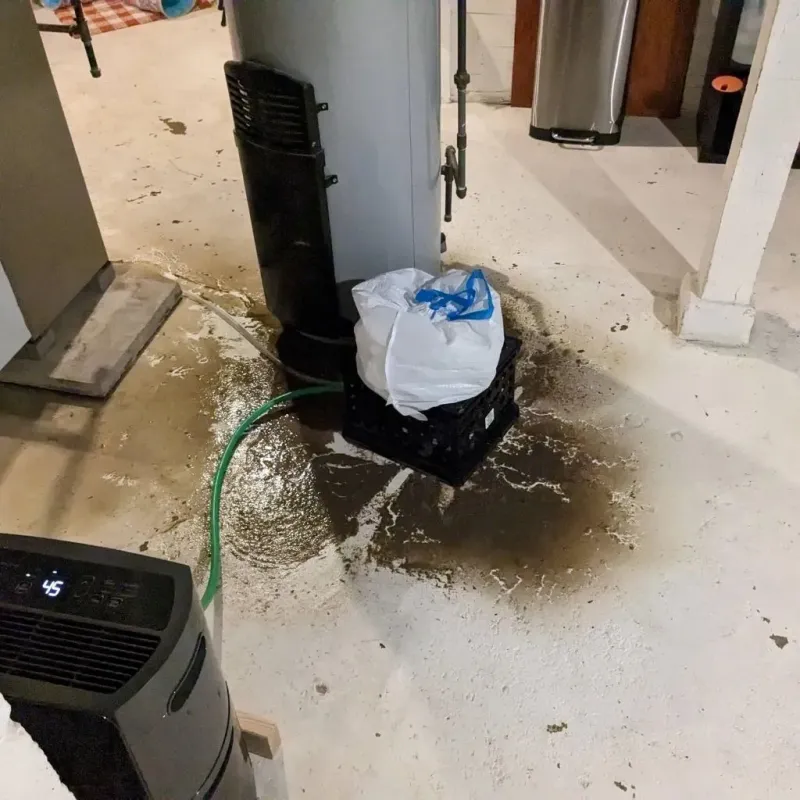 Sewage Backup Cleanup Service in Hall County, NE